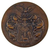 1934. "Stadionavatás 1934. VI. 2-10. Debrecen" bronz emlékérem (58mm) T:XF
