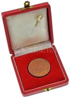 ~1970. "BKV Hűségérem" bronz emlékérem dísztokban, műgyantás fém "BKV" jelvénnye...