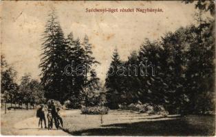 1911 Nagybánya, Baia Mare; Széchenyi liget. Kovács Gyula kiadása / park (fa)