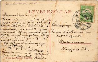 1911 Nagybánya, Baia Mare; Széchenyi liget. Kovács Gyula kiadása / park (fa)