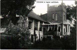 Lugos, Lugoj; Szőlő és kastély. Naschitz László cs. és kir. fhg. udvari kamara fényképész / vineyard castle