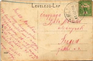 1908 Oravica, Oravita; Kilátás a lövöldekertből. W.L. 1203. 9628. / view from the shooting hall (fa)