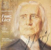 Historische Orgeln III. Franz Liszt. Viktor Lukas an der historischen Stumm-Orgel der Abteikirche Amorbach LP Vinyl 1984 CB Concerto Bayreuth. VG