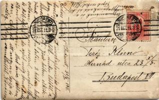 1911 M.S. Regina Maria / Queen Marie of Romania (b)