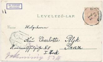 1899 (Vorläufer) Nagyszeben, Hermannstadt, Sibiu; Stadttheater, alte Befestigungstürme, Saggasse u. ...