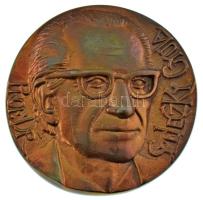 Váró Márton (1943- ) DN "Prof. Dr. Szeleczky Gyula" kétoldalas, öntött bronz plakett (92mm) T:AU