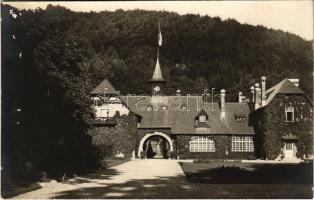 Comarnic (Prahova), Posada castle. photo (Rb)