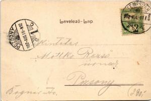 1902 Temesvár, Timisoara; látkép, zsinagóga. Polatsek kiadása / general view with synagogue (EK)