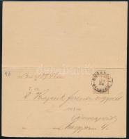 1885 Futott Adóintés 2kr díjjegyes levelezőlap &quot;BUDAPEST / DÉLUTÁN&quot; (1884 kiadás, Ic. Típus, Hodobay: 6.000)