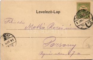 1903 Temesvár, Timisoara; Gyárváros, Liget út, villamos. Polatsek kiadása / Parkstrasse / street vie...