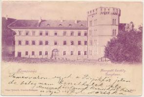 1900 Temesvár, Timisoara; Hunyadi kastély / Zeughaus / castle (r)