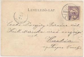 1900 Temesvár, Timisoara; Hunyadi kastély / Zeughaus / castle (r)