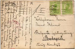 1913 M.S. Regina Maria / Queen Marie of Romania. Franz Mandy photo (gyűrődések / creases)