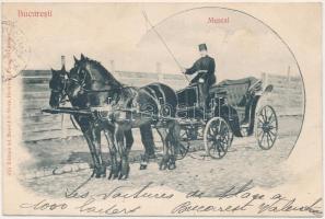 1906 Bucharest, Bukarest, Bucuresti, Bucuresci; Muscal / horse-drawn carriage, Romanian folklore (EK)