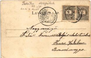 1899 (Vorläufer) Zalatna, Zlatna; Lukács Béla miniszter kastélya. Nagy Lajos kiadása / castle (EB)