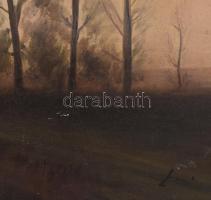 Dulity Tibor (1935-2005): Őszi határ. Olaj, farost. Jelezve jobbra lent. Apró felületi sérülésekkel....