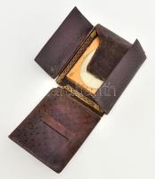 cca 1850 Fiatal hölgy, a tomesti Pánczély család tagja (Lina v. Lissa?), ambrotípia (a dagerrotípiáh...