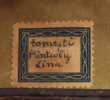 cca 1850 Fiatal hölgy, a tomesti Pánczély család tagja (Lina v. Lissa?), ambrotípia (a dagerrotípiáh...