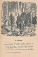 Donászy Ferenc: Az arany szalamandra. Elbeszélések az ifjúság számára. Bp., 1906, Athenaeum, 112+(2)...