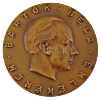 DN &quot;Bartók Béla emlékérem&quot; egyoldalas, bronz emlékérem (60mm) T:AU kis patina