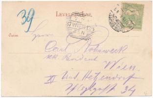 1903 Karánsebes, Caransebes; Vásártér, Eperjesy & Füszfás, Eduard Neumann és B. Reisz üzlete, te...