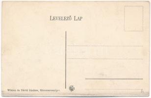 Máramarossziget, Sighetu Marmatiei; Groedel villa. Wizner és Dávid kiadása