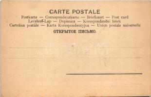 Crikvenica, Cirkvenica; Crkva i Ladislavov djecji dom u starom Frankopanskom kastelu / church and ca...