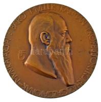 Beck Ötvös Fülöp (1873-1945) 1911. "Báró Müller Kálmán Professor Kórházigazgatónak - Munkatársai / 1887-1911" kétoldalas bronz plakett (70mm) T:AU / Hungary 1911. "For Professor Baron Kálmán Müller Hospital Director - Co-workers / 1887-1911" two-sided bronze plaque. Sign.:Fülöp Ötvös Beck (1873-1945) (70mm) C:AU HP.: 885.