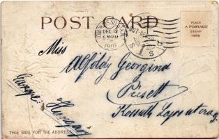 1907 Wishing you Christmas cheer / Christmas greeting art postcard with Black American girl and cat....