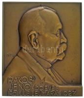 Csillag István (1881-1968) 1927. "Rákosi Jenő 60 éves írói jubileumára" bronz emlékplakett (70x62mm) T:AU / Hungary 1927. "Jenő Rákosi's 60th Anniversary as a Writer " bronze plaque. Sign.: István Csillag (70x62mm) C:AU HP 1757.