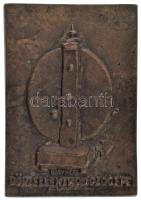 Nagyházi János (1901-1992) 1968. "Prof. Hathvani István 1718-1786 / Dörzselektromozógépe" ...