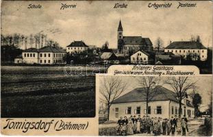 Damníkov, Tomigsdorf; Schule, Pfarrei, Kirche, Erbgericht, Postamt, Kritzners Gasthaus, Gemischtwaren Handlung u. Fleischhauerei / school, parish, church, court, post office, inn and shop of Kritzner (Rb)