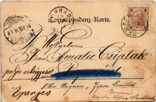 1898 (Vorläufer) Decín, Tetschen; Art Nouveau, floral (fl)