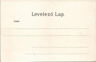 Budapest I. Bomba tér (ma Batthyány tér), templom, vásárcsarnok. Art Nouveau litho