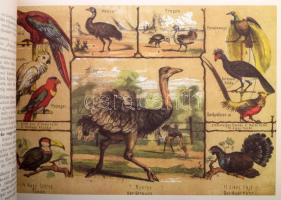 G(róf) L(ázár) K(álmán): Körút az állatkertekben. Olvasókönyv az ifjúság számára. Készítette G. L. K...