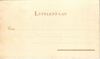 Budapest I. Királyi palota, hölgyek, vár, gőzhajók. Back & Schmitt. litho s: Rosenberger