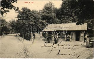 1904 Budapest XII. Zugliget, Béla király utca, Vendéglő a régi ezerakóhoz (ezer akóhoz), hintó