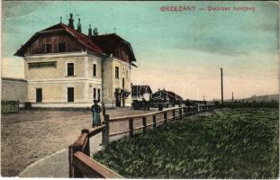 1916 Berezhany, Brzezany, Berezsani; Dworzec kolejowy / railway station + &quot;TÁBORI POSTAHIVATAL 70.&quot; (EB)