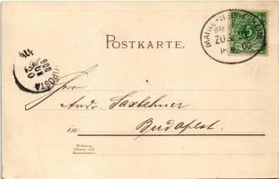 1900 Budapest XI. Saxlehner András Hunyadi János keserűvíz üzeme, gyár, reklám. Bruchsteiner és fia ...