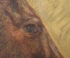 ifj. Lelkes István (1937-): Lóportré, 1975. Pasztell, papír, jelzett. Paszpartuban, paszpartu laza. ...