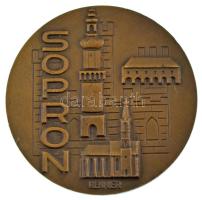 Renner Kálmán (1927-1994) 1977. &quot;Sopron 700 éves&quot; kétoldalas bronz emlékérem (60mm) T:AU,XF patina, ph.