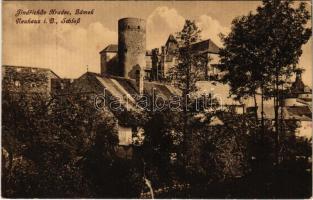 1917 Jindrichuv Hradec, Neuhaus i. Böhmen; Schloß / castle (b)