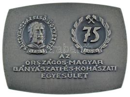 1967. &quot;Sóltz Vilmos az első ügyvezető - 75 éves az Országos Magyar Bányászati és Kohászati Egyesület (OMBKE)&quot; ezüstpatinázott bronz emlékplakett (75x55mm) T:AU