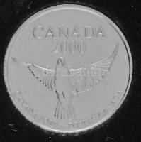 Kanada 1999. Kanadai Posta - Hivatalos milleniumi emlék fém emlékérem fémdobozban, leírással, bélyegek hiányoznak belőle (24mm) T:UNC  Canada 1999. Canada Post - The Official Millenium Keepsake metal commemorative medallion in metal case, with information, stamps are missing (24mm) C:UNC