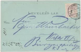 Vízakna, Salzburg, Ocna Sibiului; Sós gyógyfürdő. Karl Graef kiadása / spa, salt bath. Art Nouveau, ...