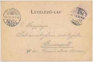 1899 (Vorläufer) Lugos, Lugoj; Amigo kávéház, Megyeháza, Király utca, üzletek, Szeszgyár, Görögkatol...