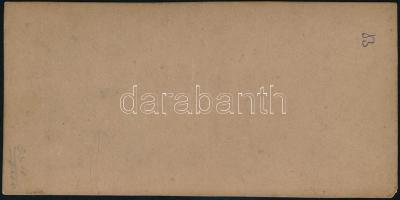 cca 1870-1880 Hölgy kártyákkal, finom erotikus sztereófotó, kézzel színezett, 8,5×17,5 cm