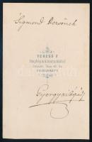cca 1860-65 Gyergyai Árpád (1845-1881) későbbi orvos, Gyergyay (Gyergyai) Árpád (1881-1952) orvos, o...