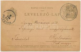 1900 Nagytopoly, Topolovec, Grosstoplowetz, Topolovet, Topolovatu Mare; kézzel rajzolt művészlap / h...