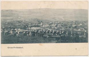 Nagyekemező, Grossprobstdorf, Gross-Probstdorf, Prostea Mare, Tarnava; látkép, evangélikus templom. Fritz Guggenberger kiadása / general view with Lutheran church (fl)